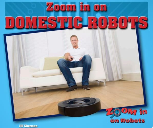 Zoom in on Domestic Robots