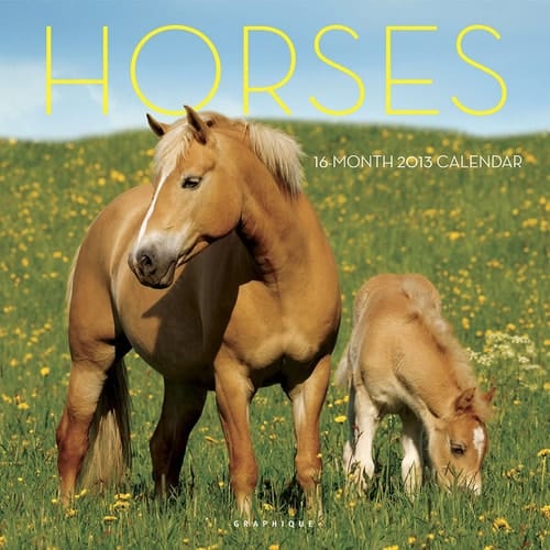 2013 Horses Wall