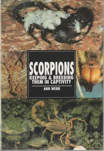 Scorpions Keeping & Breeding Them in Captivity