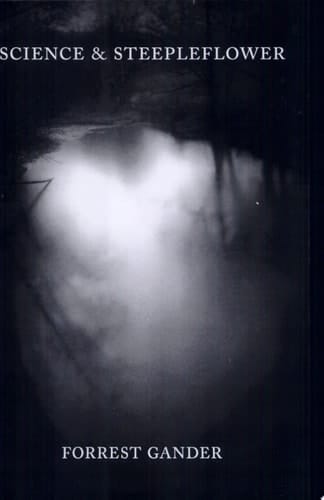 Science & Steepleflower