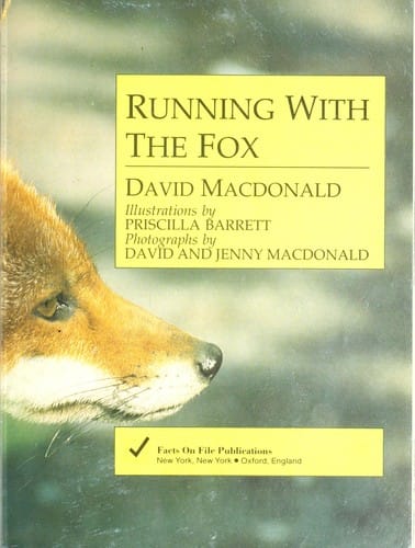 Running with the Fox