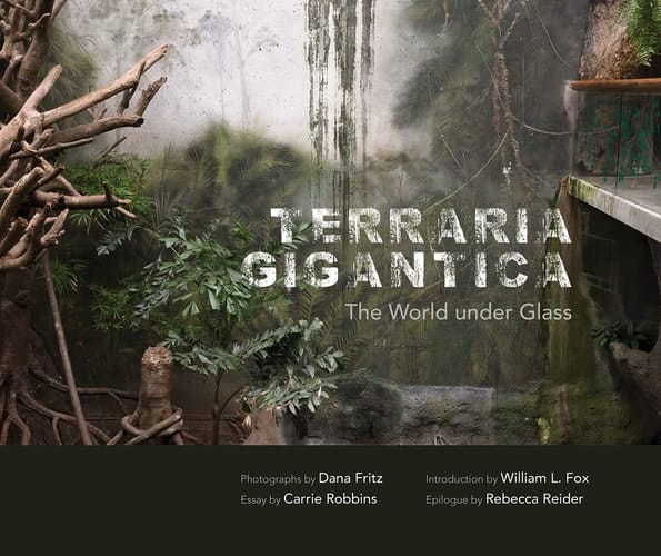 Terraria Gigantica The World under Glass