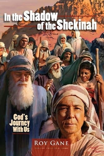 In the Shadow of the Shekinah God's Journey with Us