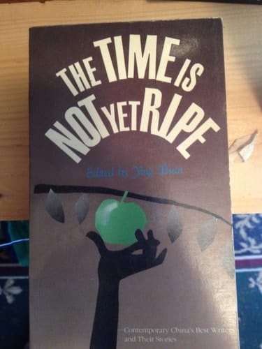 The Time Is Not Yet Ripe: Contemporary China's Best Writers and Their Stories