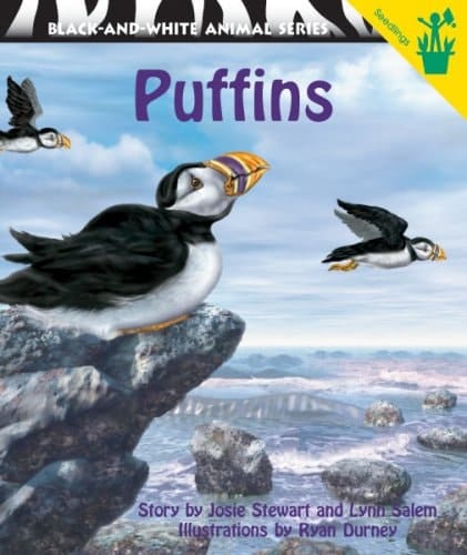 Puffins