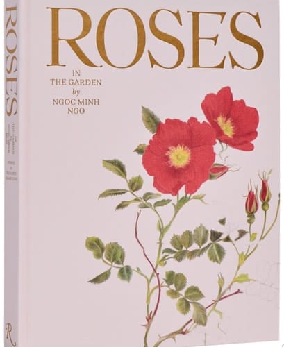 Roses in the Garden
