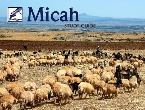Micah Study Guide