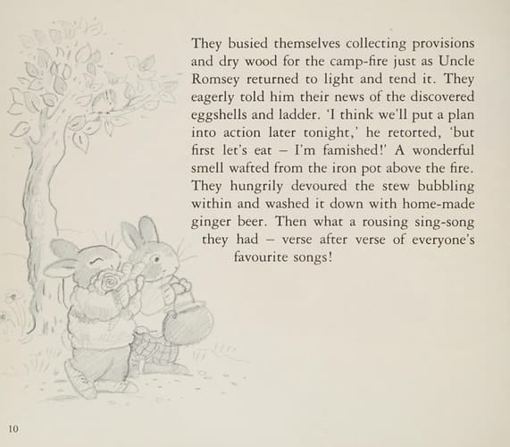 The Camping Adventure
