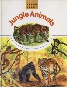 Jungle Animals