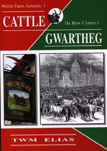 Cattle