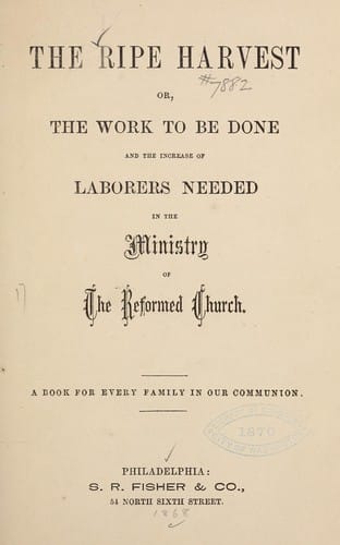 Urban Migrants in Developing Nations: Patterns and Problems of Adjustment (Westview Replica Edition)