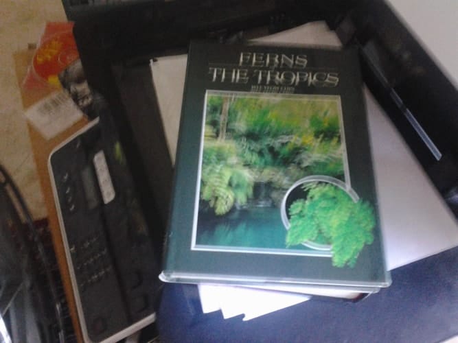 Ferns of the Tropics