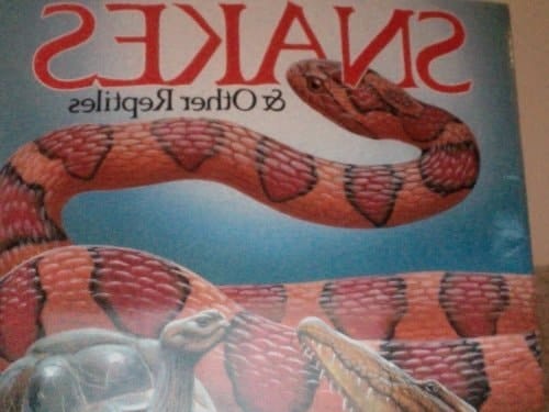Snakes & Other Reptiles