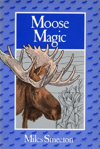 Moose Magic