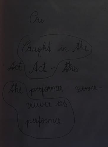 Caught in the Act: The Viewer as Performer