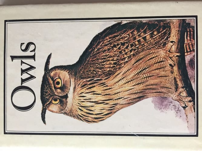 Owls