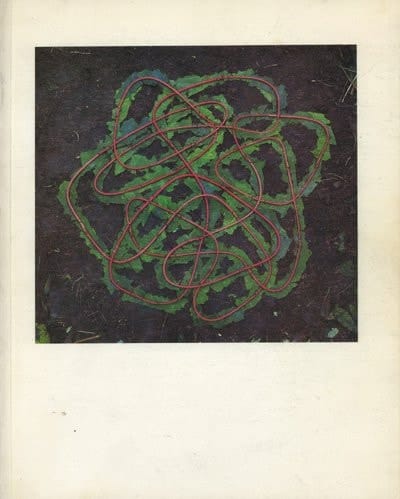 Rain, sun, snow, hail, mist, calm: photoworks by Andy Goldsworthy