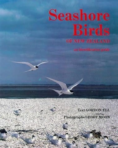 Seashore Birds of New Zealand