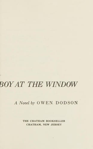 Boy at the Window