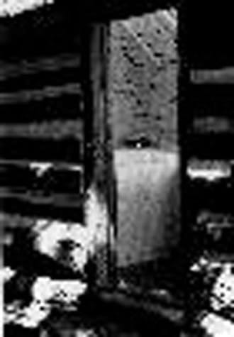 Liz Magor - How to Avoid the Future Tense - Joey Morgan