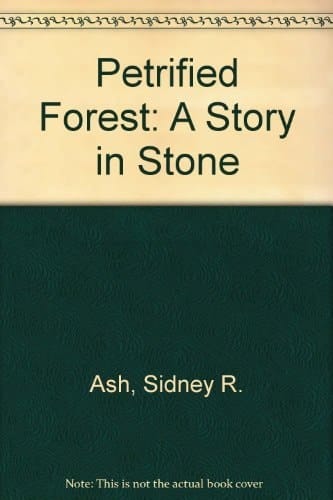 Petrified Forest A Story in Stone