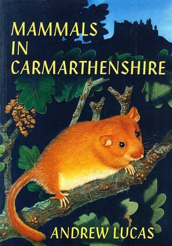 Mammals in Carmarthenshire