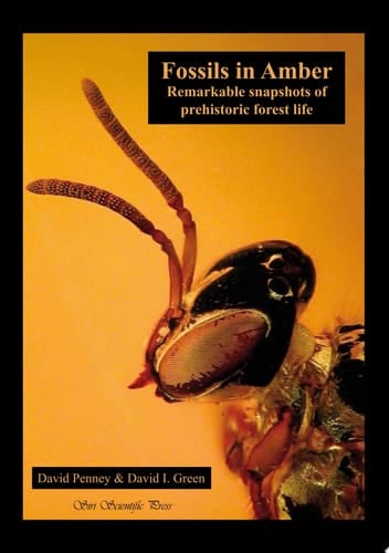 Fossils in Amber Remarkable Snapshots of Prehistoric Forest Life