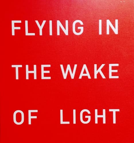 Flying in the Wake of Light Irina Stolyarova Collection