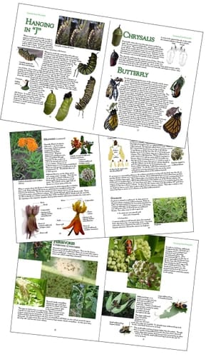 Learning from Monarchs A Teachers' Handbook