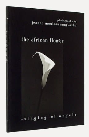 The African Flower