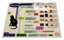 Xie's Pathology/Etiology Chart