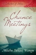 Chance Meetings A Collection of Stories