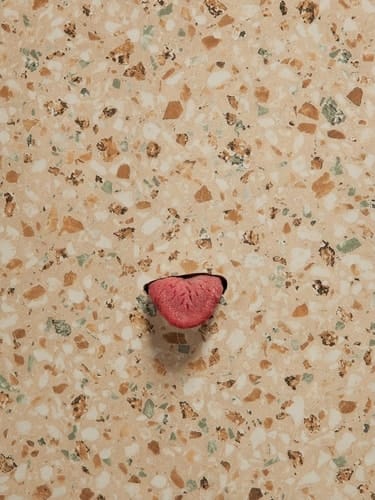 Mika Rottenberg - Dough Cheese Squeeze and Tropical Breeze Work