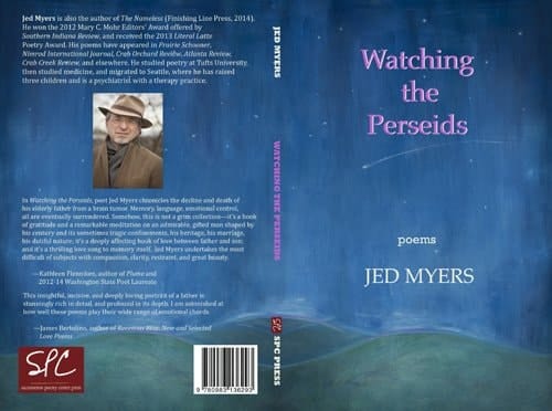 Watching the Perseids