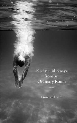 Poems and Essays from an Ordinary Room