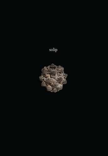 Solip A Novel