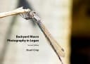 Backyard Macro Photography in Logan