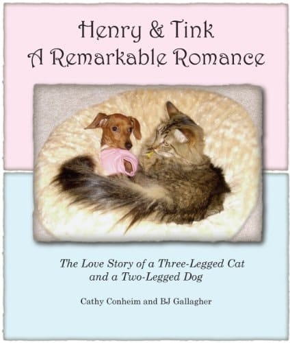 Henry & Tink A Remarkable Romance