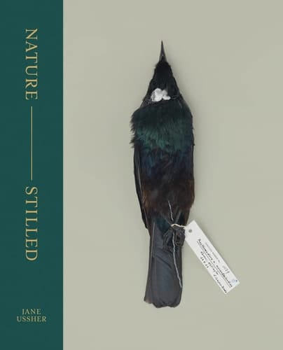 Nature -- Stilled
