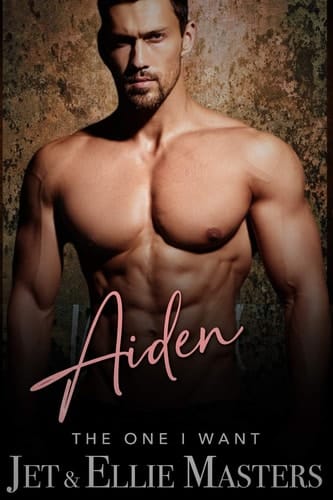 Aiden & Ariel The One I Want Series