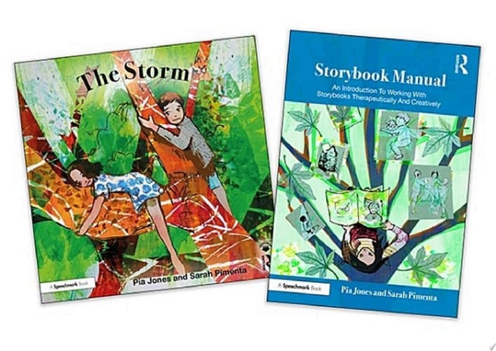 The Storm and Storybook Manual