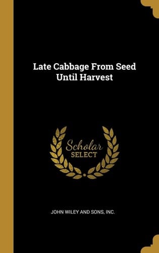 Late Cabbage From Seed Until Harvest