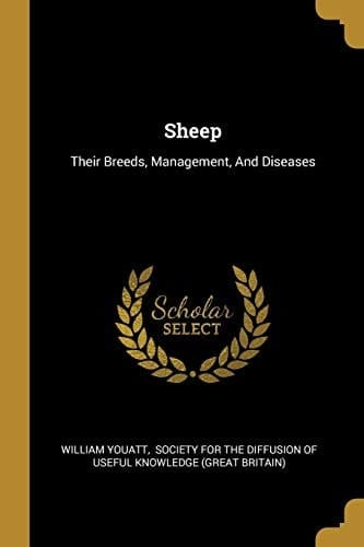 Sheep Their Breeds, Management, And Diseases