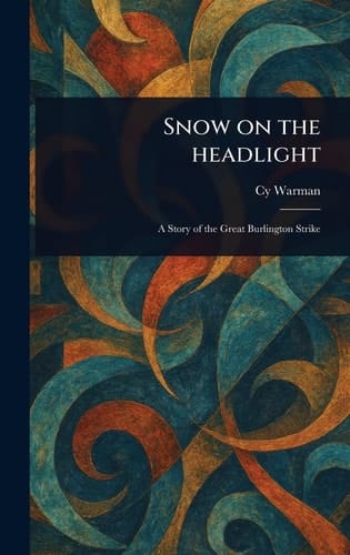 Snow on the Headlight