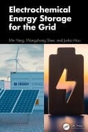 Electrochemical Energy Storage for the Grid
