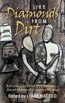 Like Diamonds from Dirt Essays and Interviews about David Dabydeen's Creative Writing