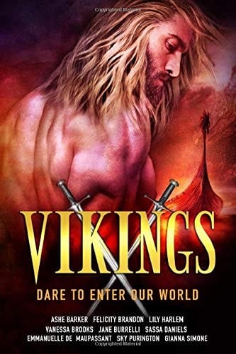 Vikings Nine Warrior-Hero Historical Romances