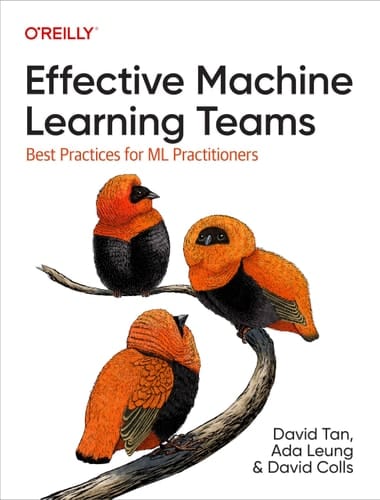 Effective Machine Learning Teams Best Practices for ML Practitioners