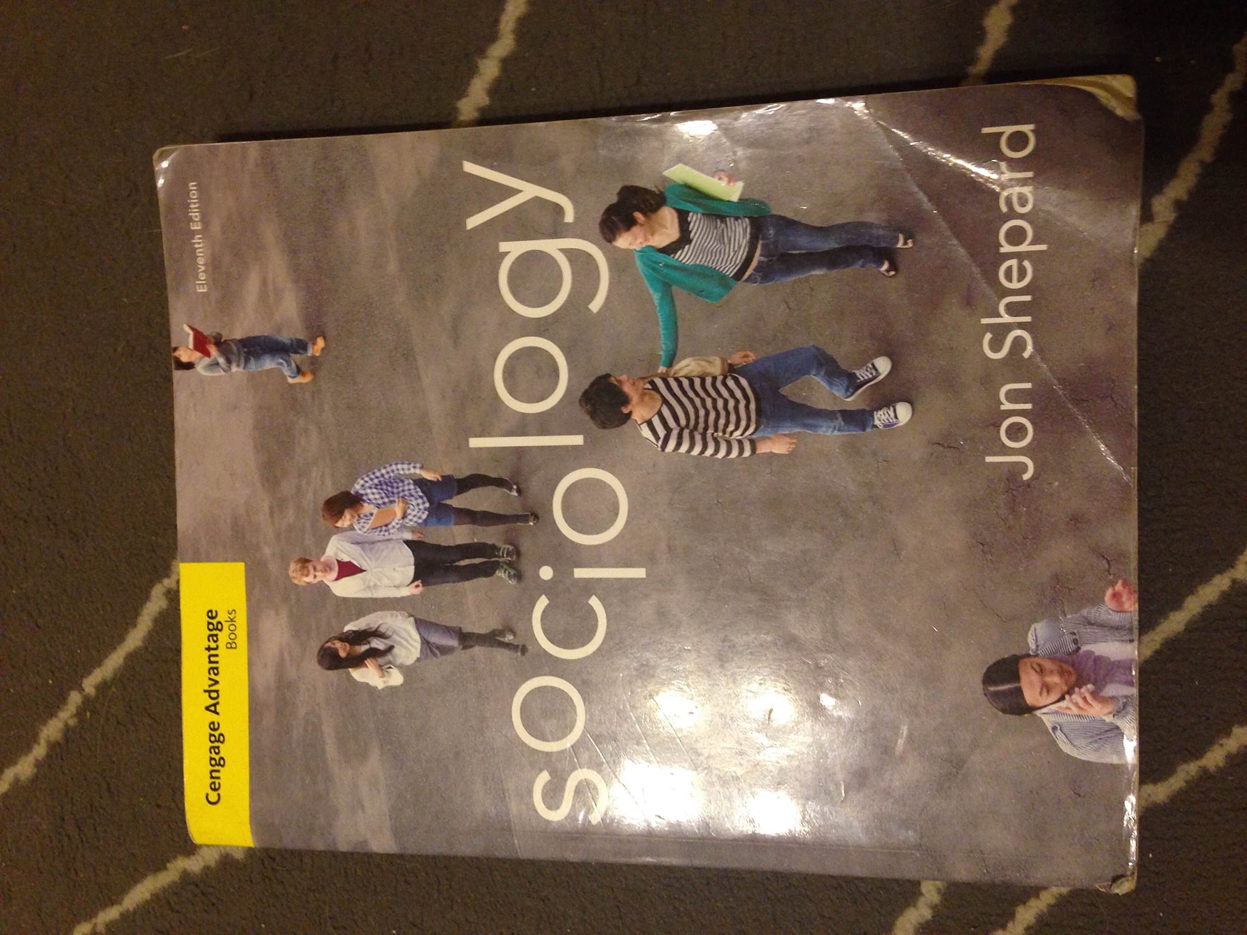 Cengage Advantage Books: Sociology