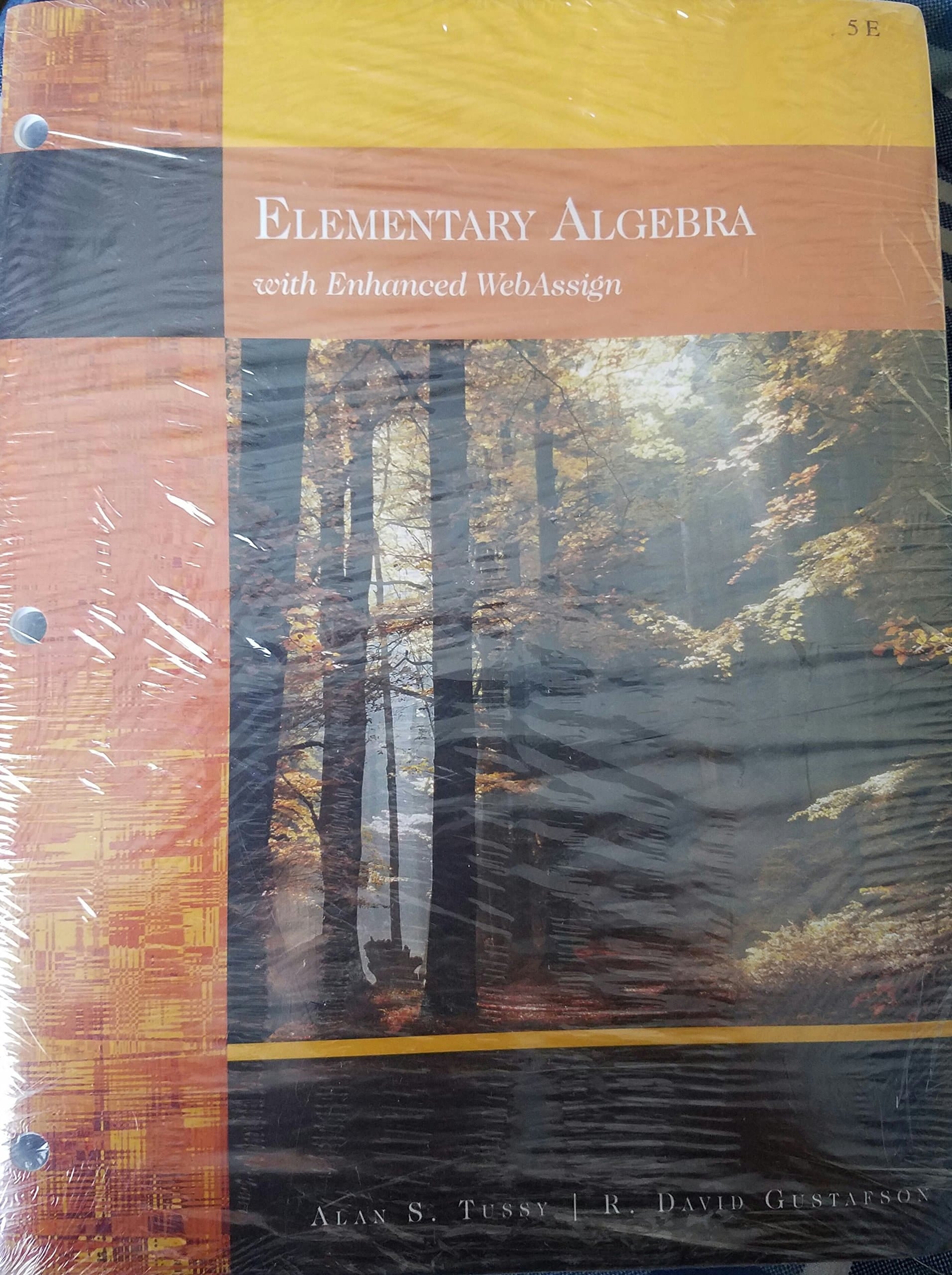 ELEMENTARY ALGEBRA - TUSSY/CENGAGE C